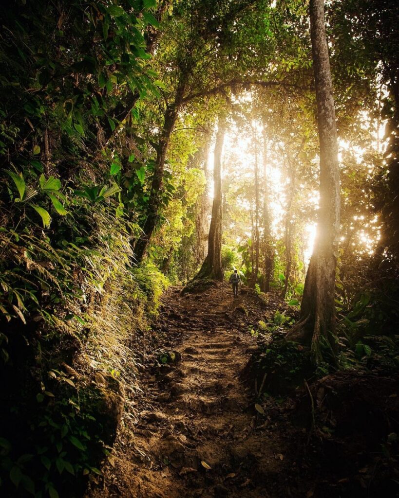 ciudad perdida